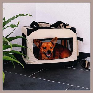 Lightweight, Excellent handles and available pockets dog transporting box in multiple sizes by Dibea